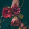 London Red Roses + White Tea Candle | Roses are red, so are you - Image 5
