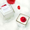 London Red Roses + White Tea Candle | Roses are red, so are you